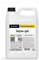 Дезинфицирующее средство (кожный антисептик) Septa-gel, 5л